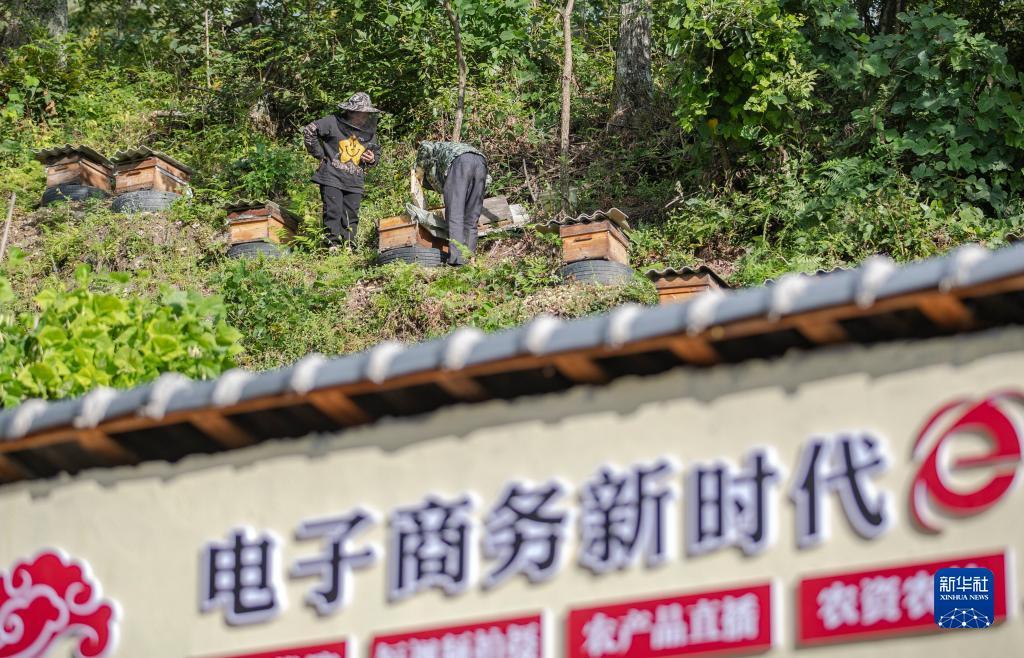 银河在线投注平台